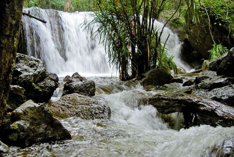 suối tranh